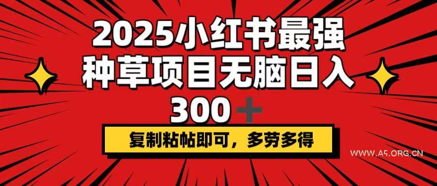 2025小红书最强种草项目,无脑日入300+,复制粘帖即可,多劳多得-351资源网