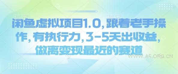 闲鱼虚拟项目1.0，跟着老手操作，有执行力，3-5天出收益，做离变现最近的赛道-351资源网