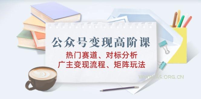公众号变现高阶课：热门赛道、对标分析、广告主变现流程、矩阵玩法-351资源网