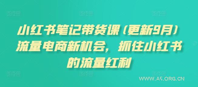 小红书笔记带货课(更新9月)流量电商新机会，抓住小红书的流量红利-351资源网