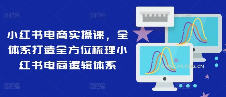 小红书电商实操课，全体系打造全方位梳理小红书电商逻辑体系-351资源网