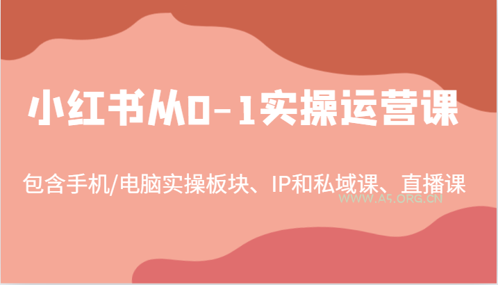小红书从0-1实操运营课，包含手机/电脑实操板块、IP和私域课、直播课(97节)-351资源网