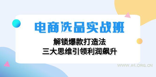 电商选品实战班：解锁爆款打造法，三大思维引领利润飙升-351资源网