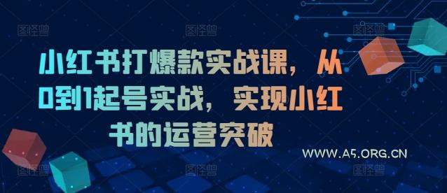 小红书打爆款实战课，从0到1起号实战，实现小红书的运营突破-351资源网