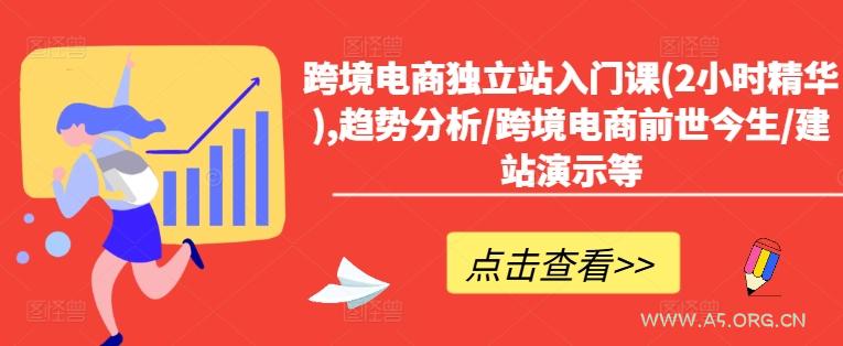 跨境电商独立站入门课(2小时精华),趋势分析/跨境电商前世今生/建站演示等-351资源网