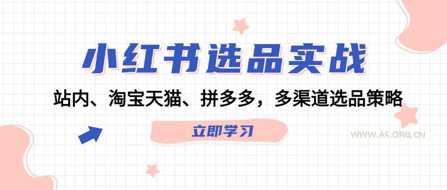 小红书选品实战：站内、淘宝天猫、拼多多，多渠道选品策略-351资源网
