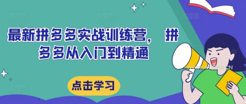 最新拼多多实战训练营, 拼多多从入门到精通-351资源网