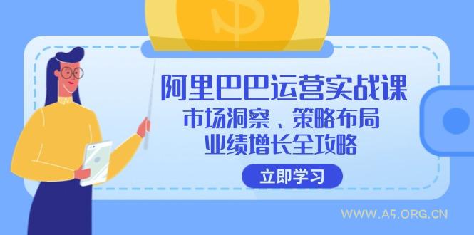 阿里巴巴运营实战课：市场洞察、策略布局、业绩增长全攻略-351资源网