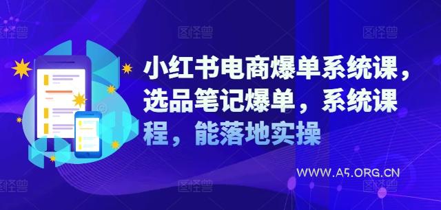 小红书电商爆单系统课,选品笔记爆单,系统课程,能落地实操-351资源网