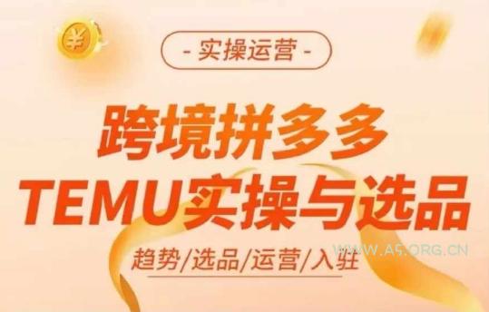 跨境拼多多TEMU实操与选品，多多temu跨境选品运营实操-351资源网