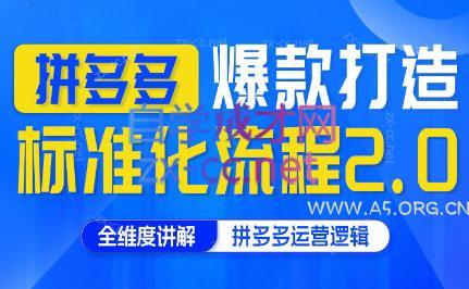 云杉老师·拼多多爆款打造标准化流程2.0-351资源网