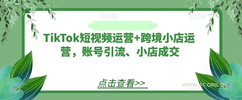 TikTok短视频运营+跨境小店运营，账号引流、小店成交-351资源网