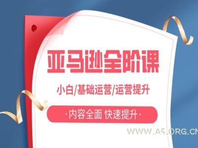 亚马越全阶课，小白/基础运营/运营提升，内容全面，快速提升-351资源网