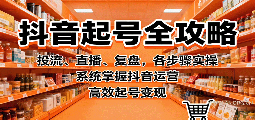 抖音起号全攻略，投流、直播、复盘，各步骤实操，系统掌握抖音运营，高效起号变现-351资源网