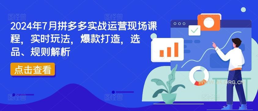 2024年7月拼多多实战运营现场课程，实时玩法，爆款打造，选品、规则解析-351资源网