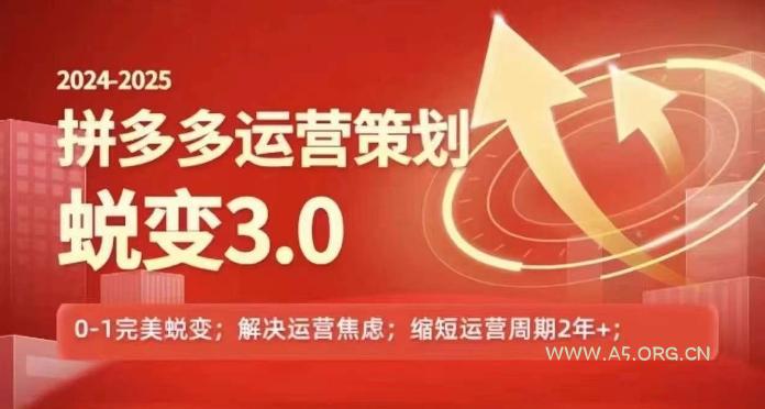 2024-2025拼多多运营策略蜕变3.0，0~1完美蜕变，解决信息焦虑-351资源网