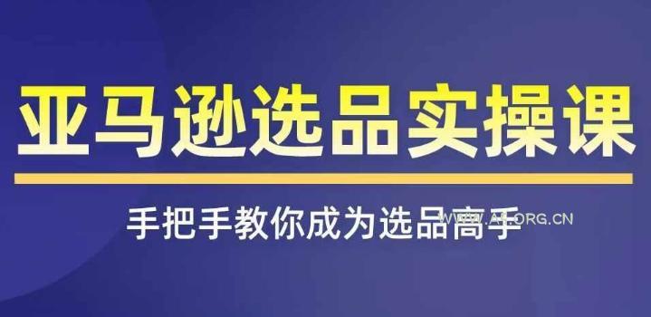 亚马逊选品实操课程，快速掌握亚马逊选品的技巧，覆盖亚马逊选品所有渠道-351资源网