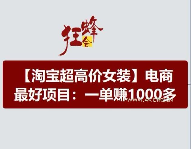 淘宝超高价女装项目，电商最好赛道，一单赚1000多-351资源网