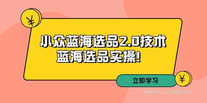拼多多培训第33期：小众蓝海选品2.0技术-蓝海选品实操！-351资源网