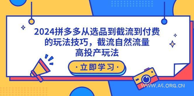 2024拼多多从选品到截流到付费的玩法技巧，截流自然流量玩法，高投产玩法-351资源网