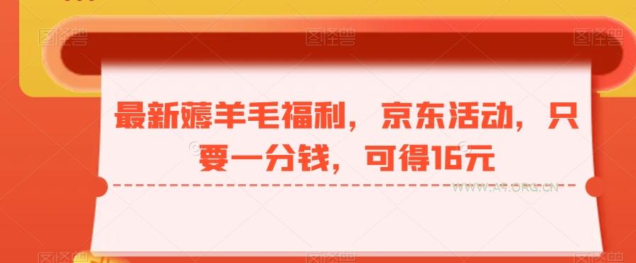 最新薅羊毛福利，京东活动，只要一分钱，可得16元-351资源网