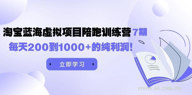 (9541期)黄岛主《淘宝蓝海虚拟项目陪跑训练营7期》每天200到1000+的纯利润-351资源网