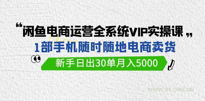 (9547期)闲鱼电商运营全系统VIP实战课，1部手机随时随地卖货，新手日出30单月入5000-351资源网