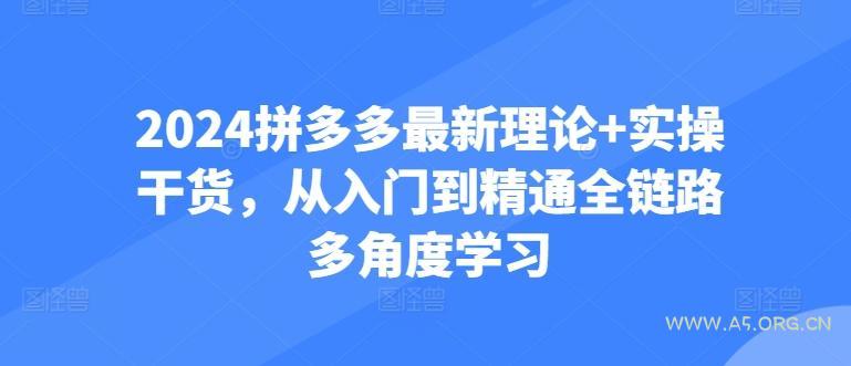2024拼多多最新理论+实操干货，从入门到精通全链路多角度学习-351资源网