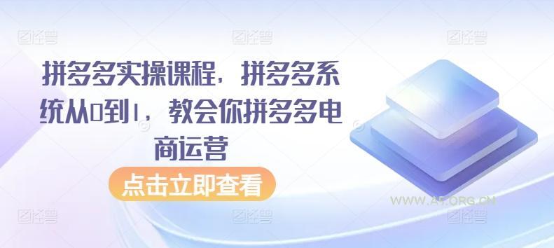 拼多多实操课程，拼多多系统从0到1，教会你拼多多电商运营-351资源网