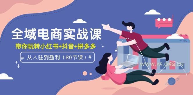 (9529期)全域电商实战课：从入驻到盈利，带你玩转小红书+抖音+拼多多(80节课)-351资源网