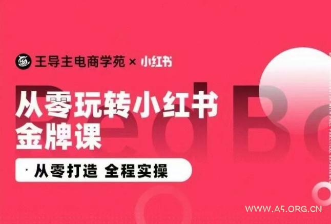 王导主·小红书电商运营实操课，​从零打造  全程实操-351资源网
