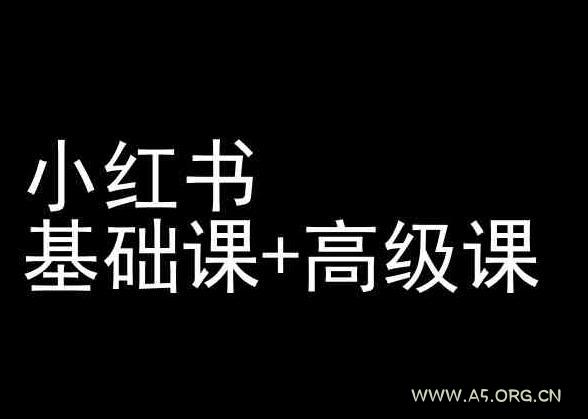 小红书基础课+高级课-小红书运营教程-351资源网