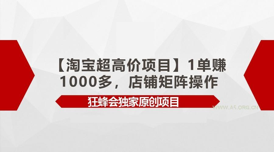 【淘宝超高价项目】1单赚1000多，店铺矩阵操作-351资源网