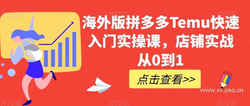 海外版拼多多Temu快速入门实操课，店铺实战从0到1-351资源网