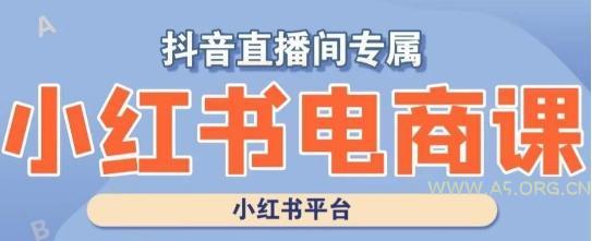 小红书电商高级运营课程，实操教学+案例分析-351资源网