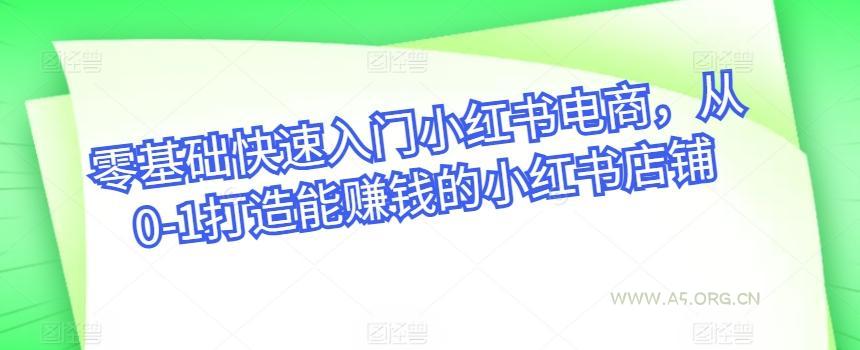 零基础快速入门小红书电商，从0-1打造能赚钱的小红书店铺-351资源网