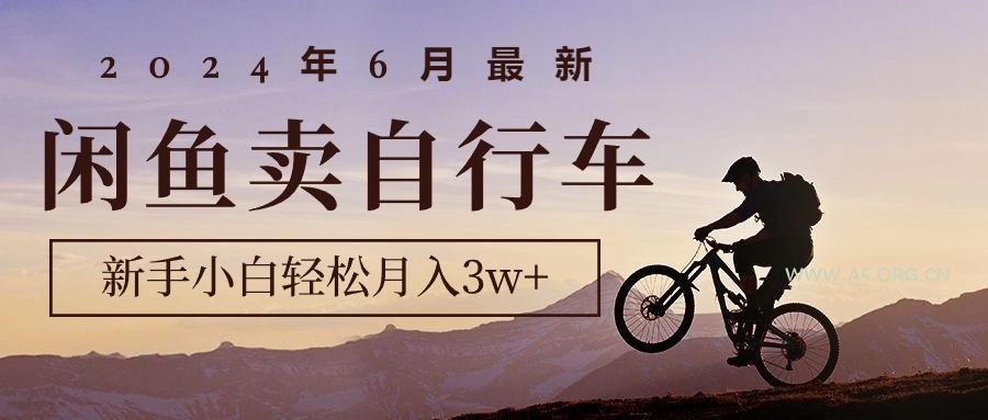 2024年6月最新闲鱼卖自行车，新手小白轻松月入3w+项目-351资源网