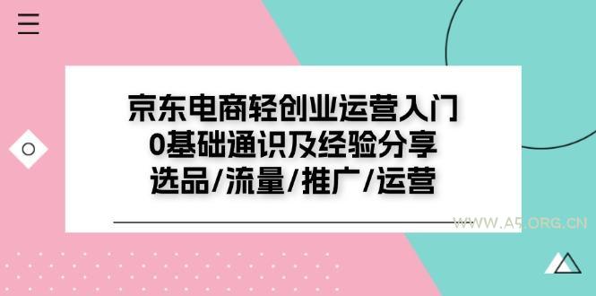 京东电商-轻创业运营入门0基础通识及经验分享:选品/流量/推广/运营-351资源网