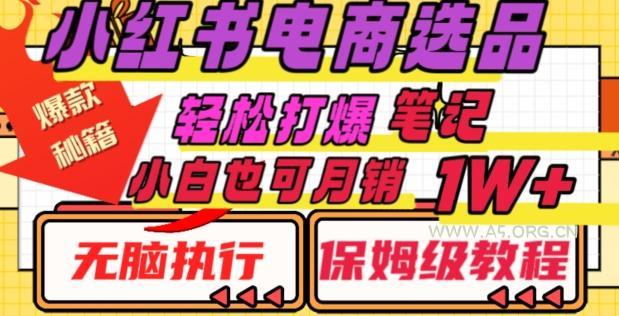 小红书电商爆款选品秘籍,帮你轻松打爆笔记,小白也可轻松月销10000+-351资源网