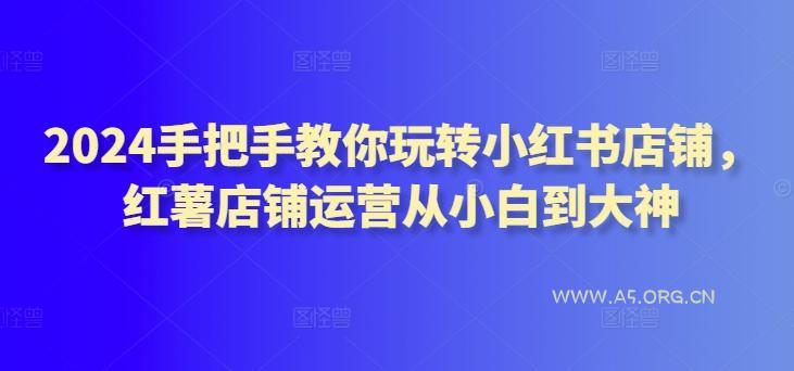 2024手把手教你玩转小红书店铺，红薯店铺运营从小白到大神-351资源网