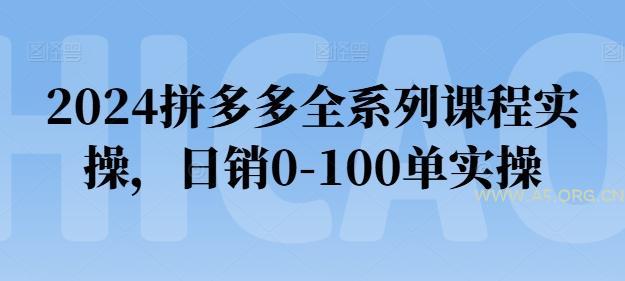 2024拼多多全系列课程实操，日销0-100单实操【必看】-351资源网