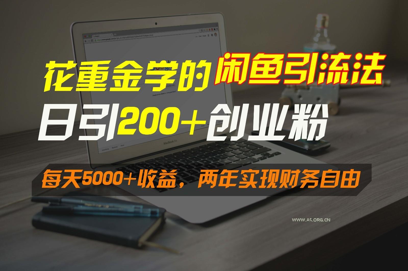花重金学的闲鱼引流法，日引流300+创业粉，每天5000+收益，两年实现财务自由-351资源网