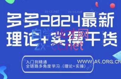 拼多多2024最新规则理论结合实际的干货-351资源网