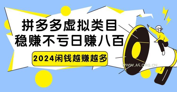 2024拼多多虚拟类目，日赚八百无本万利-351资源网