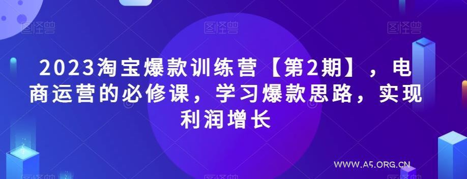 2023淘宝爆款训练营【第2期】，电商运营的必修课，学习爆款思路，实现利润增长-351资源网