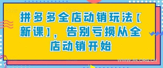 拼多多全店动销玩法【新课】，告别亏损从全店动销开始-351资源网