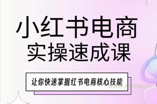 小红书电商实操速成课，让你快速掌握红书电商核心技能-351资源网