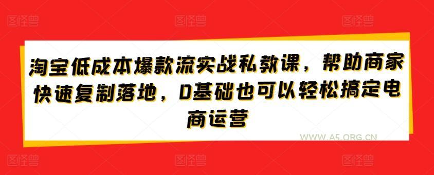 淘宝低成本爆款流实战私教课，帮助商家快速复制落地，0基础也可以轻松搞定电商运营-351资源网
