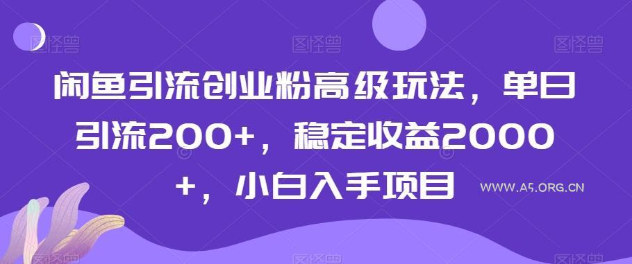 闲鱼引流创业粉高级玩法，单日引流200+，稳定收益2000+，小白入手项目-351资源网