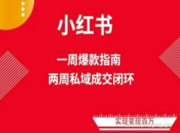 爆款小红书免费流量体系课程(两周变现)，小红书电商教程-351资源网